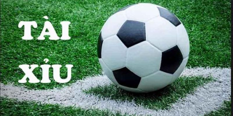 Kèo Tài Xỉu: Kinh Nghiệm Để Mọi Người Tham Gia Hiệu Quả 7 Ví dụ trên sẽ giúp bạn hiểu rõ hơn về kèo Tài Xỉu