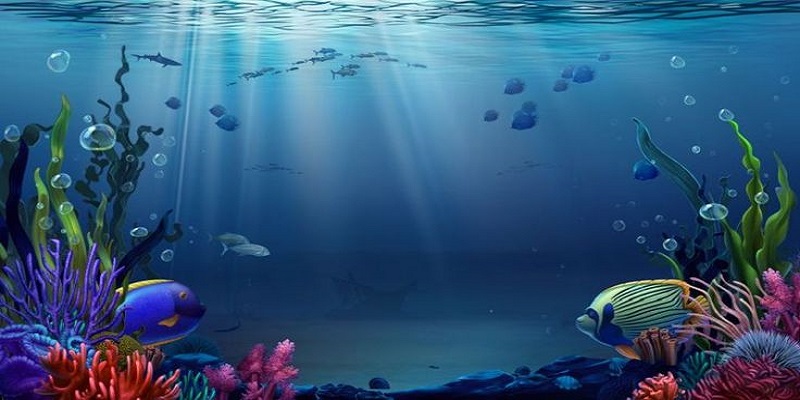 Vua Bắn Cá - Trải Nghiệm Đổi Thưởng Hấp Dẫn Năm 2025 8 Mẹo giúp người dùng trải nghiệm đi săn hiệu quả